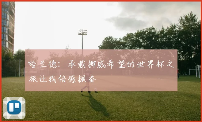 哈兰德：承载挪威希望的世界杯之旅让我倍感振奋